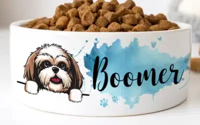 Personalized Dog Bowls and Snow Globe Enhancements